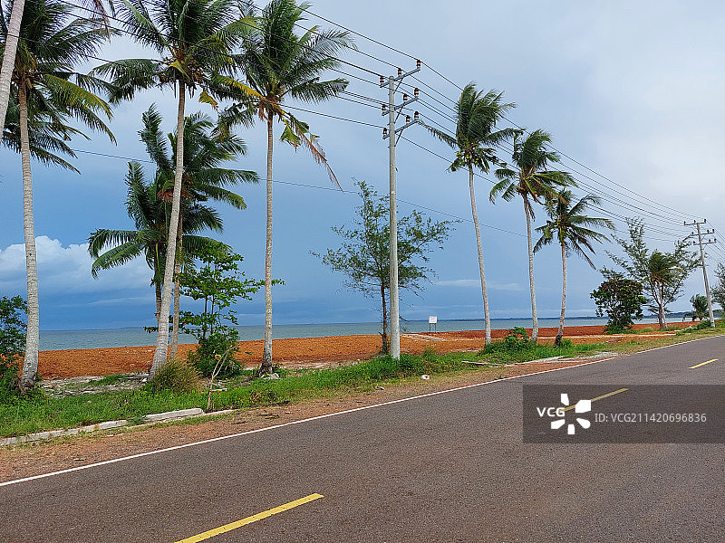 棕榈树旁的空旷道路图片素材