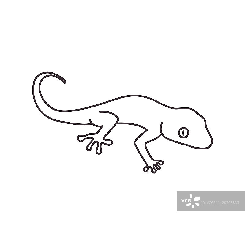 壁虎线条图标标志图片素材
