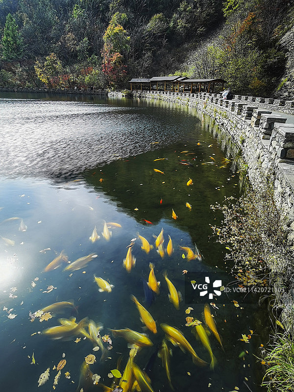 本溪大石湖秋色图片素材