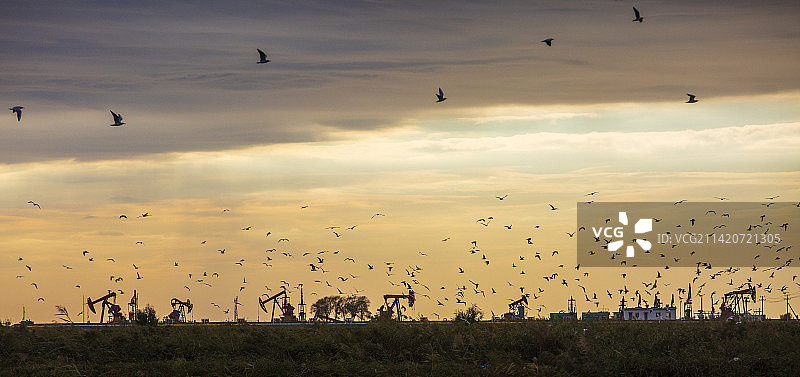 盘锦红海滩图片素材