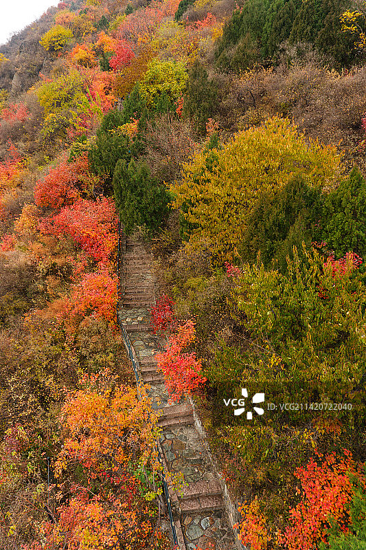 北京香山公园秋天图片素材