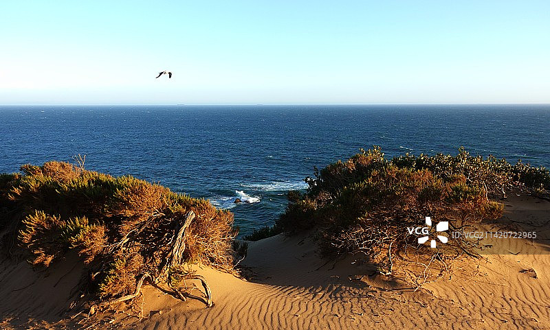 Pacific Ocean Coast图片素材