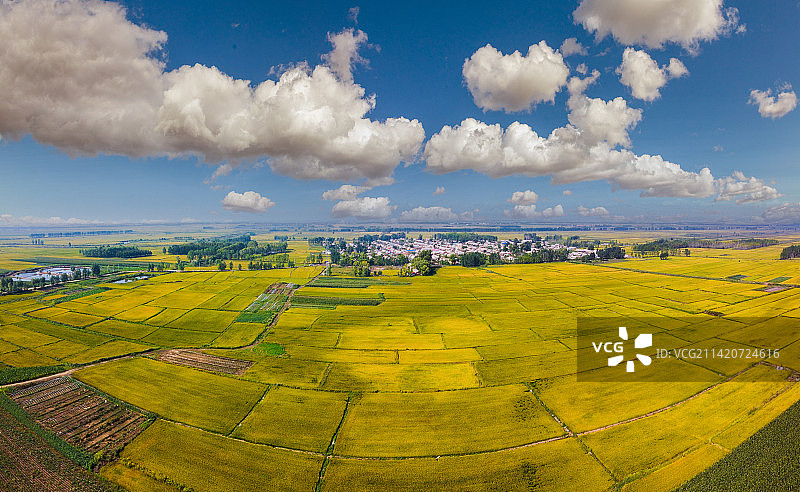 三江平原秋天水稻大田图片素材