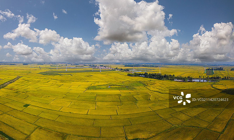 三江平原秋天水稻大田图片素材
