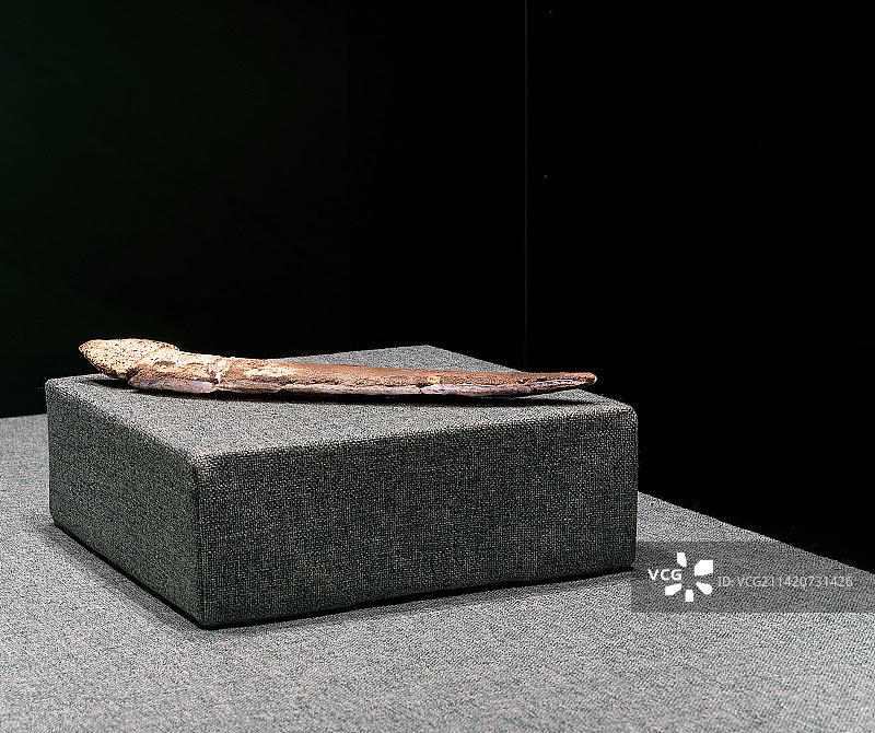 新石器时代中国先民使用过的骨器，耒耜与骨梗石刃刀图片素材