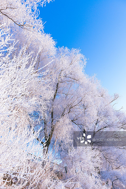 冰雪雾凇图片素材