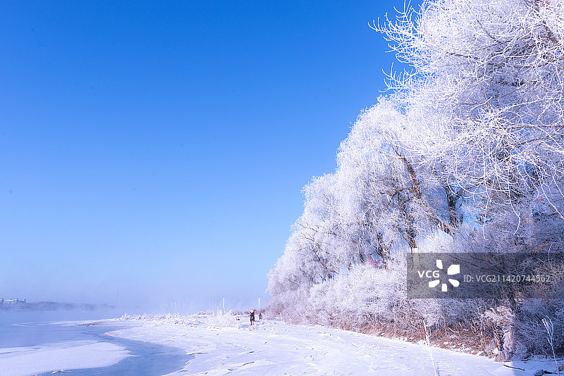冰雪雾凇图片素材