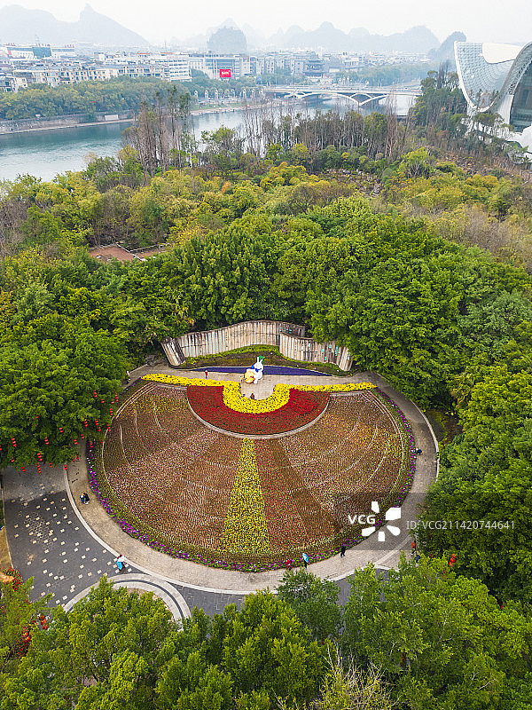 桂林春季訾洲公园的紫荆花图片素材