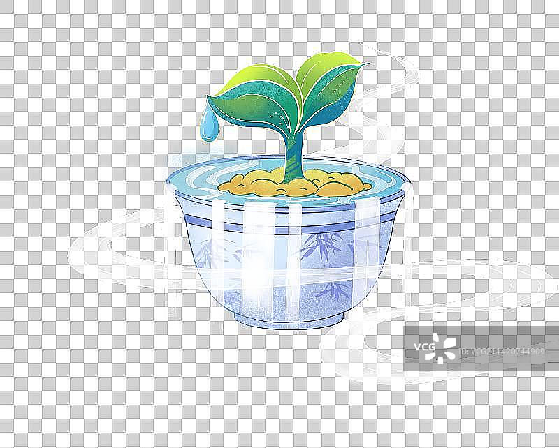 茶杯种子发芽图片素材