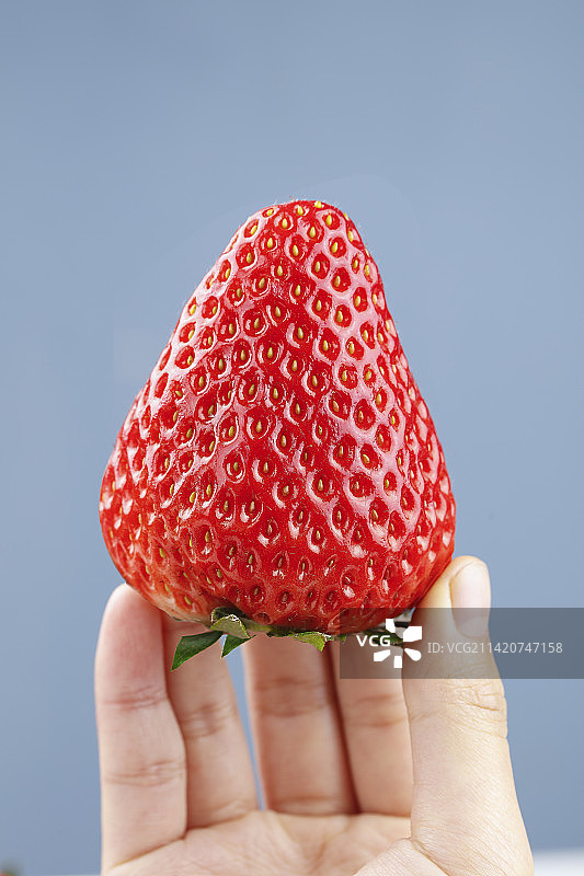 手里拿着丹东草莓图片素材