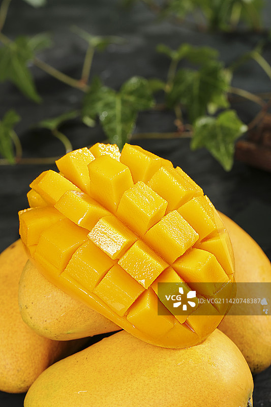 深底上的小台芒图片素材