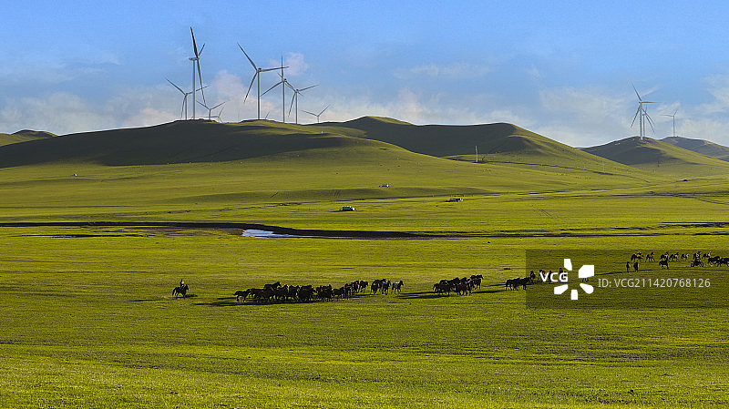 通辽山地草原/科尔沁草原图片素材