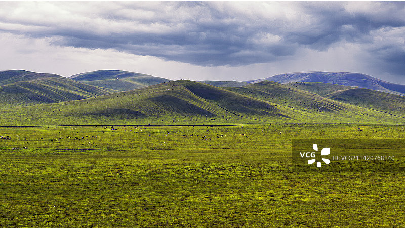 通辽山地草原/科尔沁草原图片素材