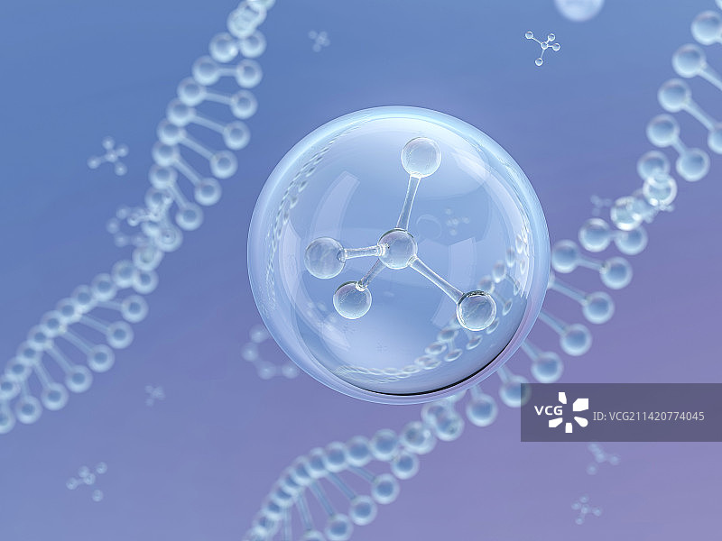 基因链和水分子模型图片素材