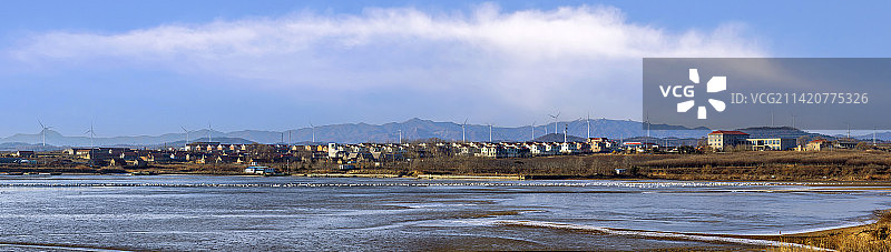 排排站的大天鹅图片素材