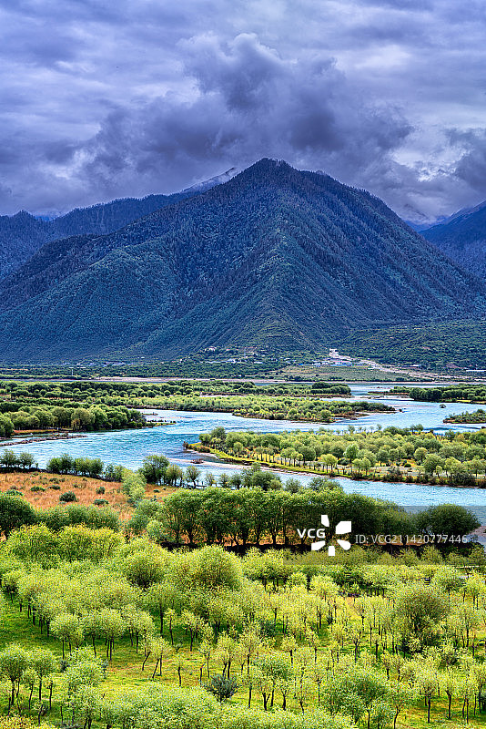 生机勃勃的林芝尼洋河风光带图片素材