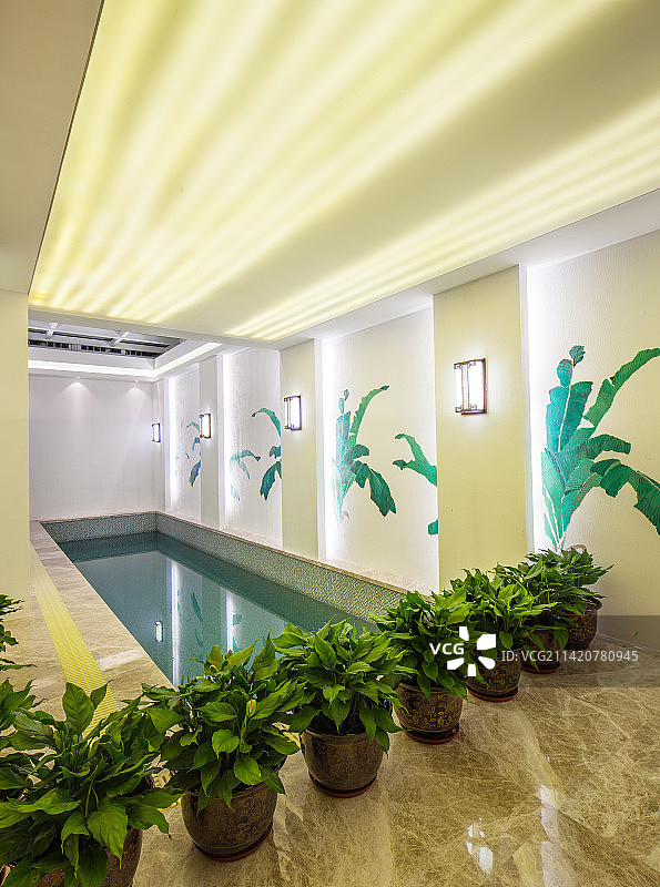 室内游泳池图片素材