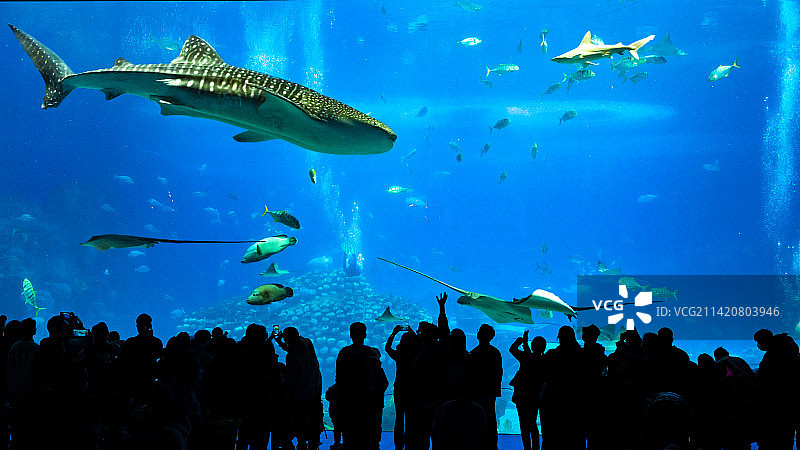 珠海长隆图片素材