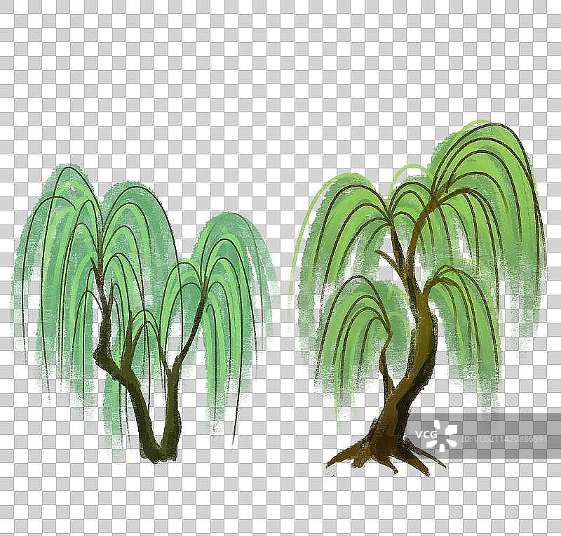 春天垂柳柳树插画元素图片素材