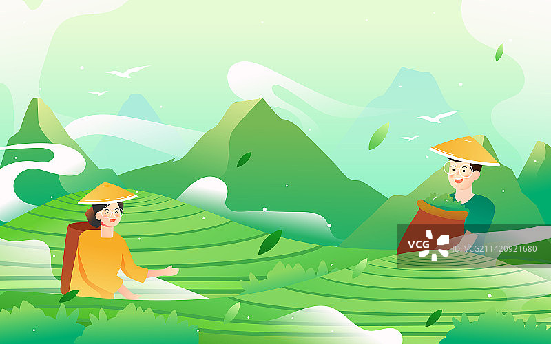 春分茶农茶园采茶工人户外劳动丰收农业插画图片素材