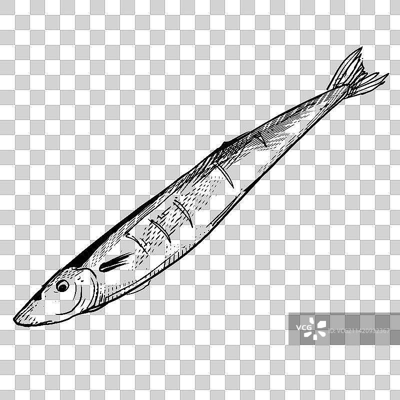 线条风秋刀鱼元素插画图片素材