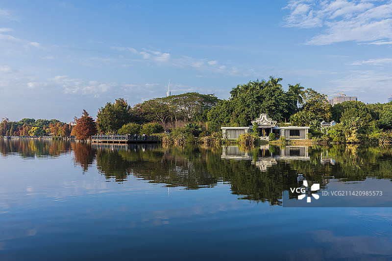 海珠湖的秋图片素材