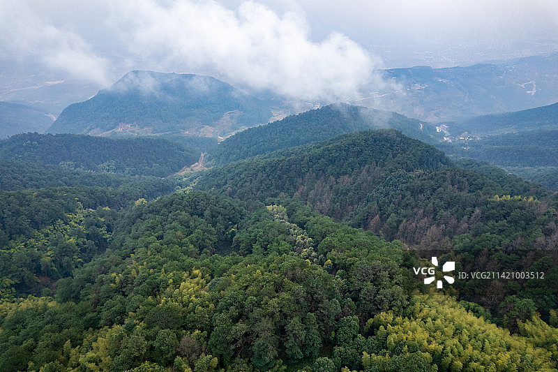 重庆永川茶山竹海图片素材