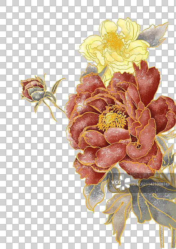 牡丹 四月花 富贵花开 元素图片素材