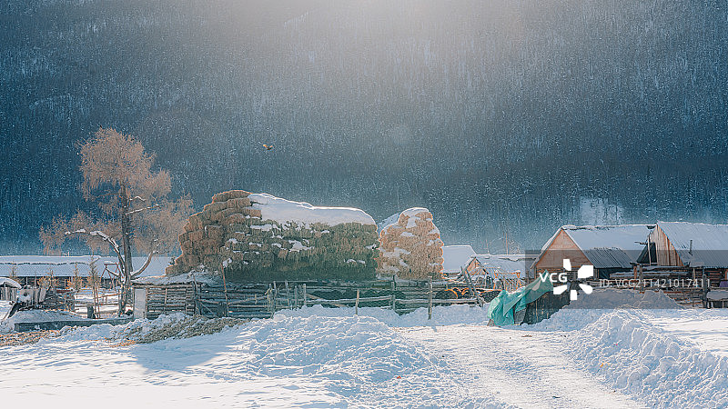 冬季喀纳斯雪地上的小木屋图片素材