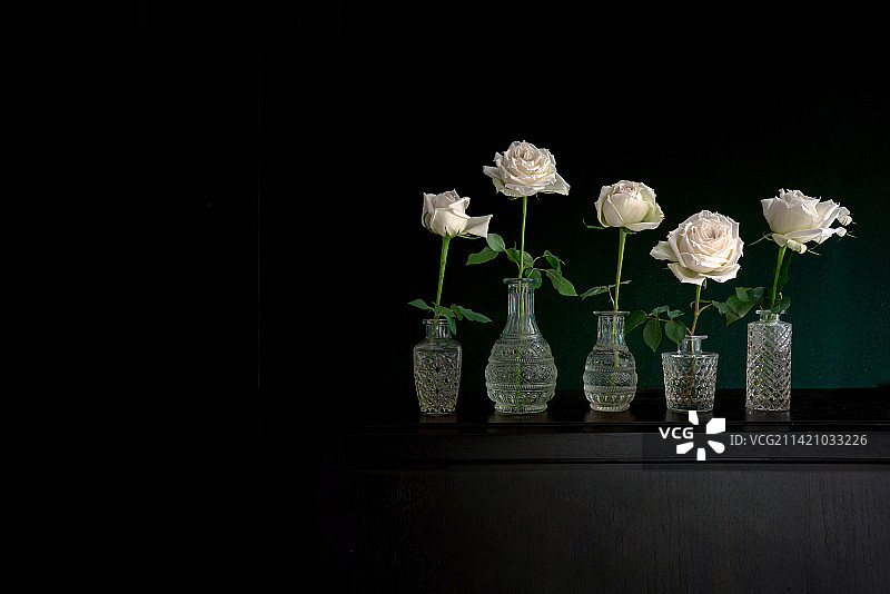 黑色背景的花瓶和花朵图片素材