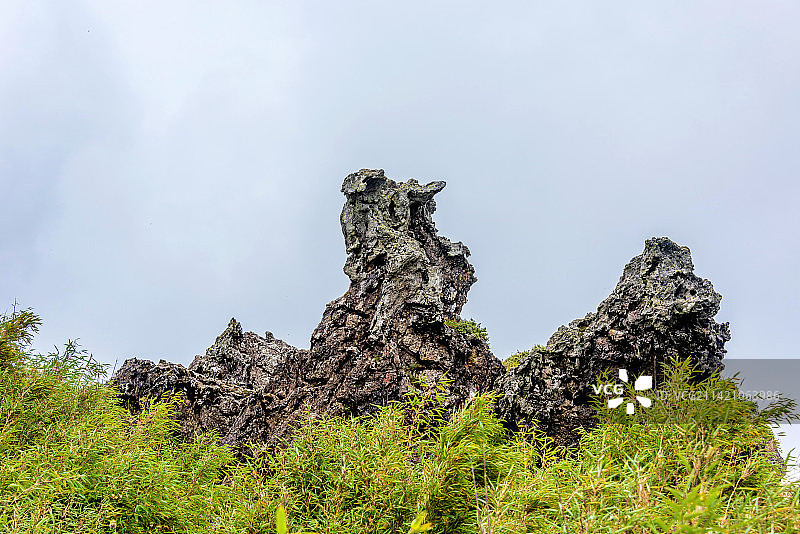 中国湖北神农架神农顶板壁岩石林图片素材