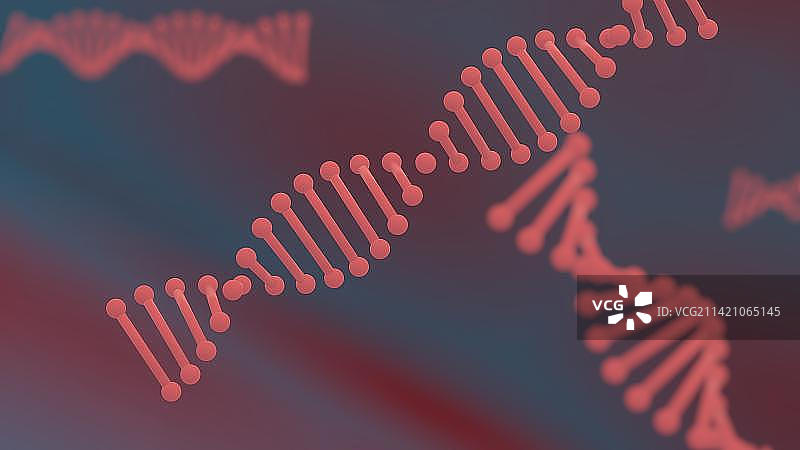 三维渲染的DNA结构图片素材