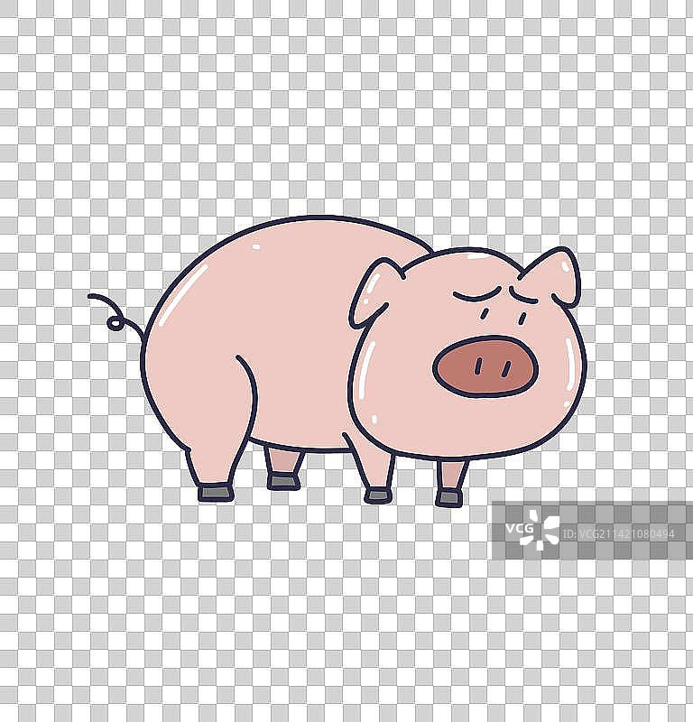 元素：小猪图片素材