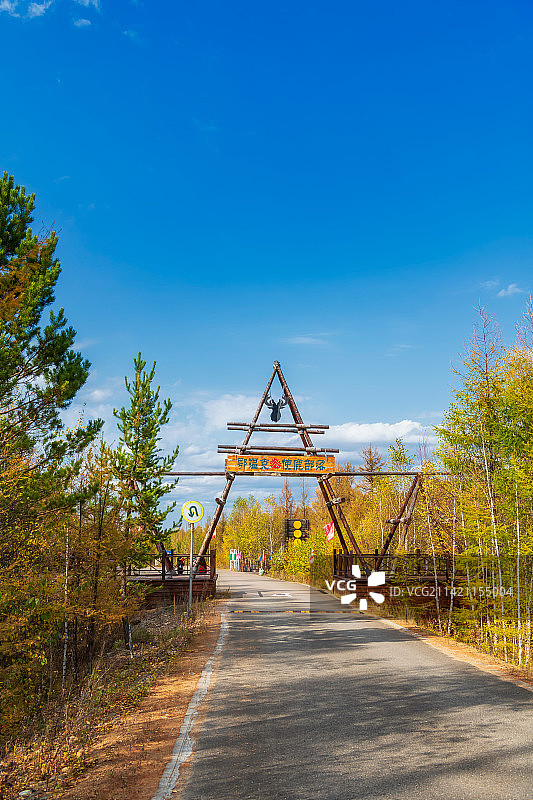 内蒙古呼伦贝尔市额尔古纳市莫尔道嘎国家森林公园大兴安岭林区（使鹿部落）森林与公路秋季户外风光图片素材