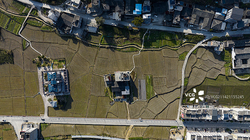 乡村即景，农田，宅基地。图片素材