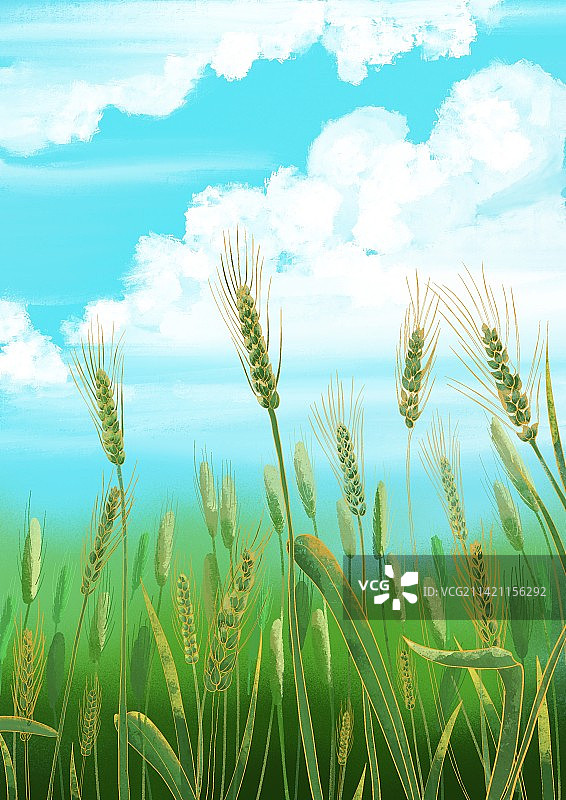 二十四节气 清明 谷雨 春季 麦花 麦田图片素材