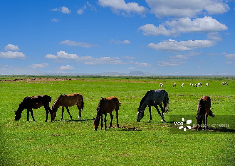 中国内蒙古克什克腾旗贡格尔草原风情图片素材