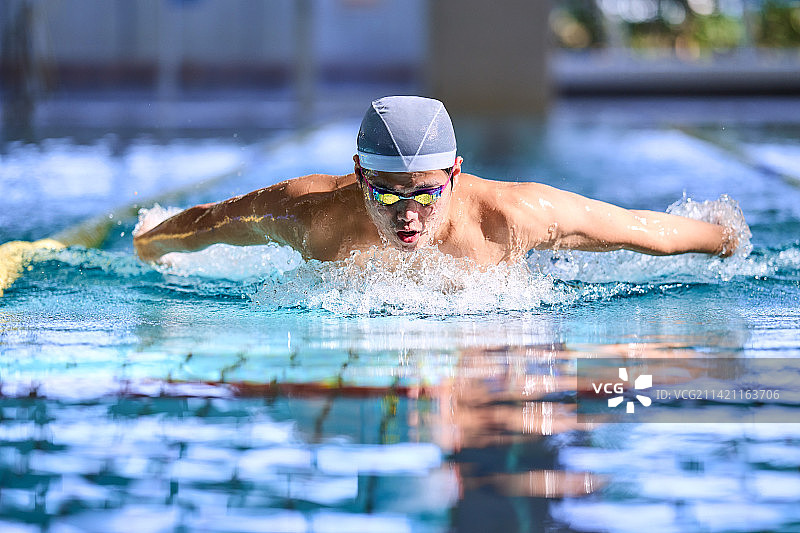 在日本室内游泳池游泳的运动员图片素材