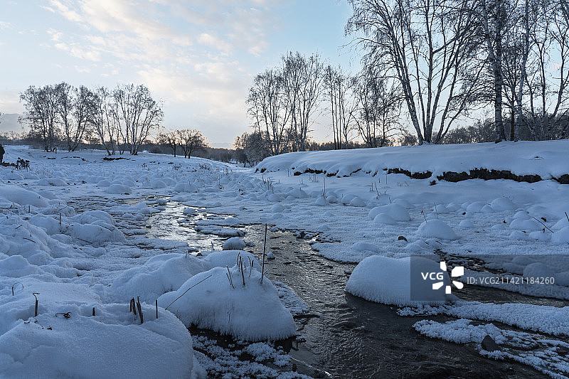内蒙雪地上的雪球和树林图片素材