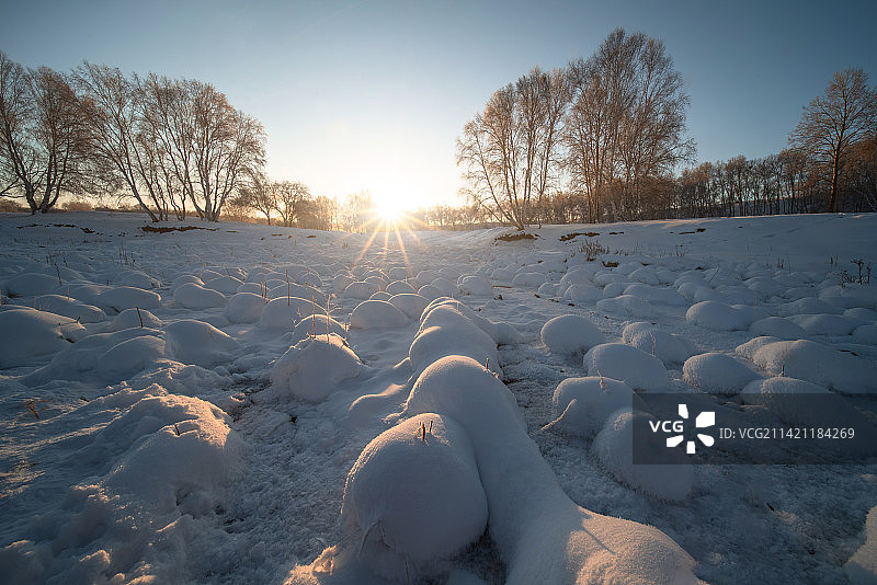 内蒙雪地上的雪球和树林图片素材