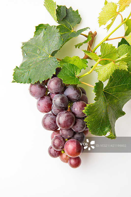 白色背景中的一串带着叶子的新鲜红葡萄图片素材