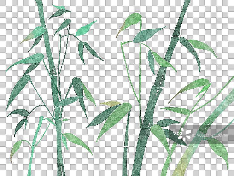 水彩画风竹子特写插画元素图片素材