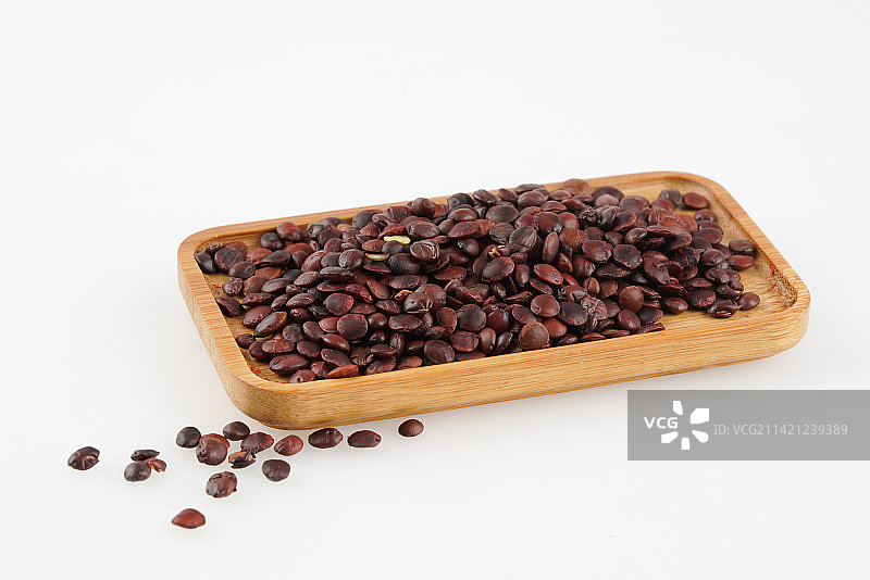 酸枣仁中药材图片素材