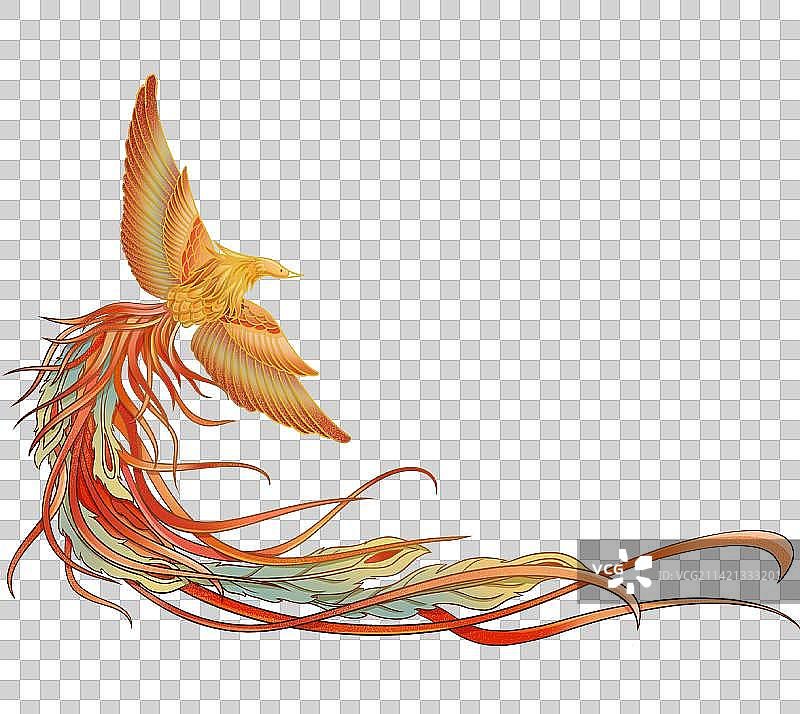 翱翔的凤凰图片素材