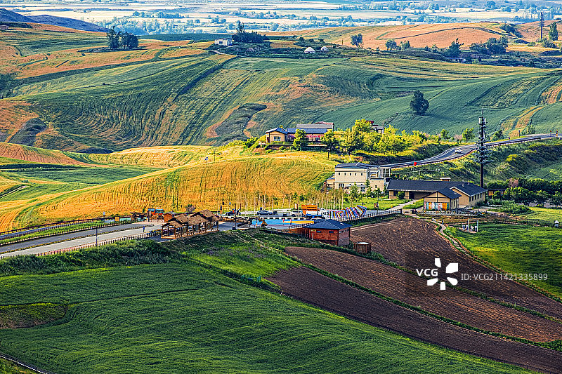 江布拉克七月的天山麦海图片素材