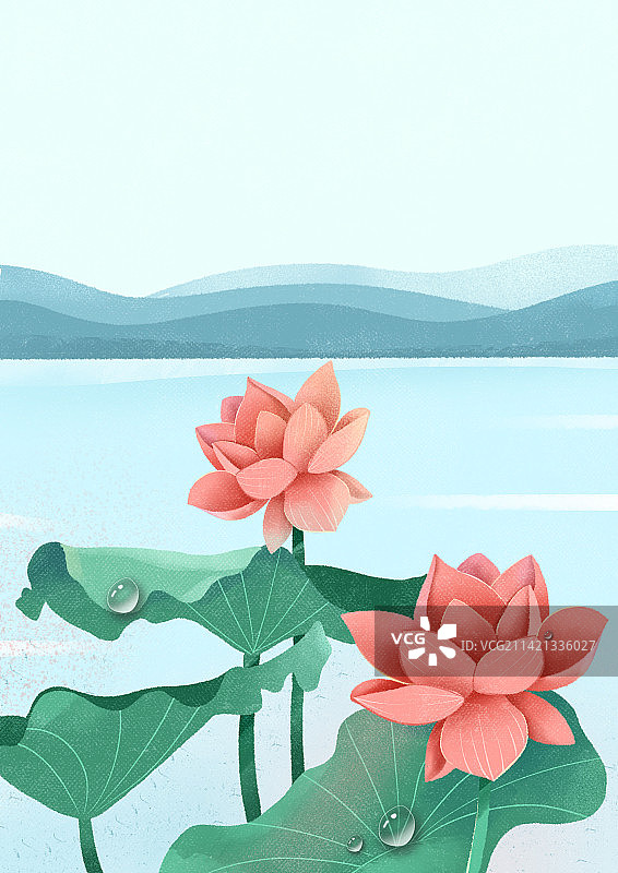 夏天荷花荷叶户外风景插画图片素材