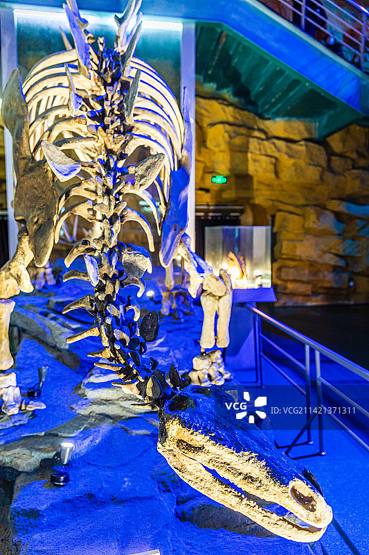 江苏常州恐龙园图片素材