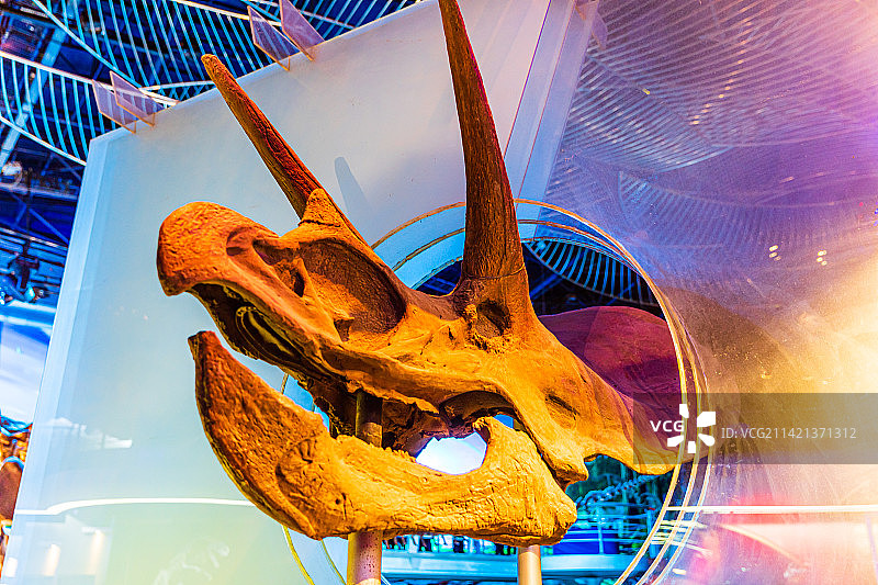 江苏常州恐龙园图片素材