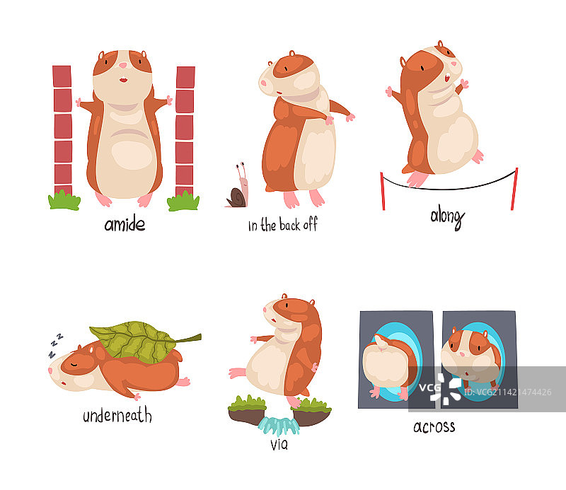 可爱的仓鼠展示英语图片素材