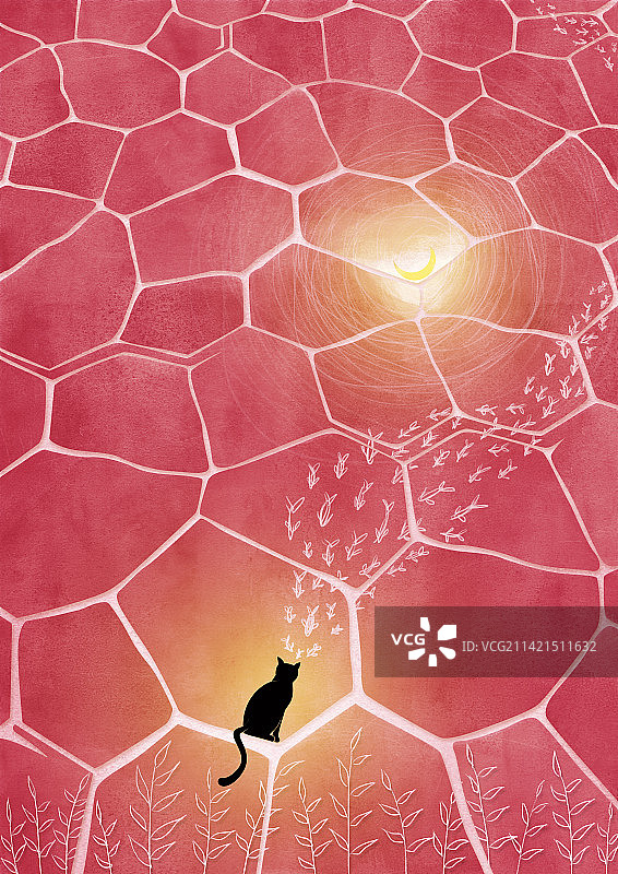 做一只简简单单的猫图片素材